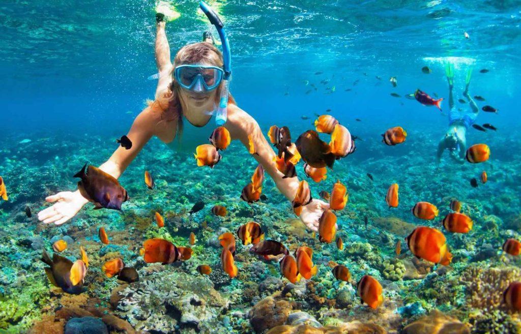 plongée isla mujeres