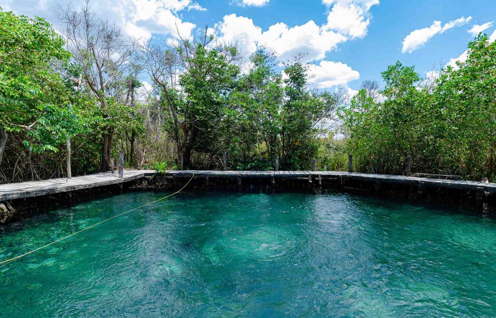 cenote yalahau à Holbox