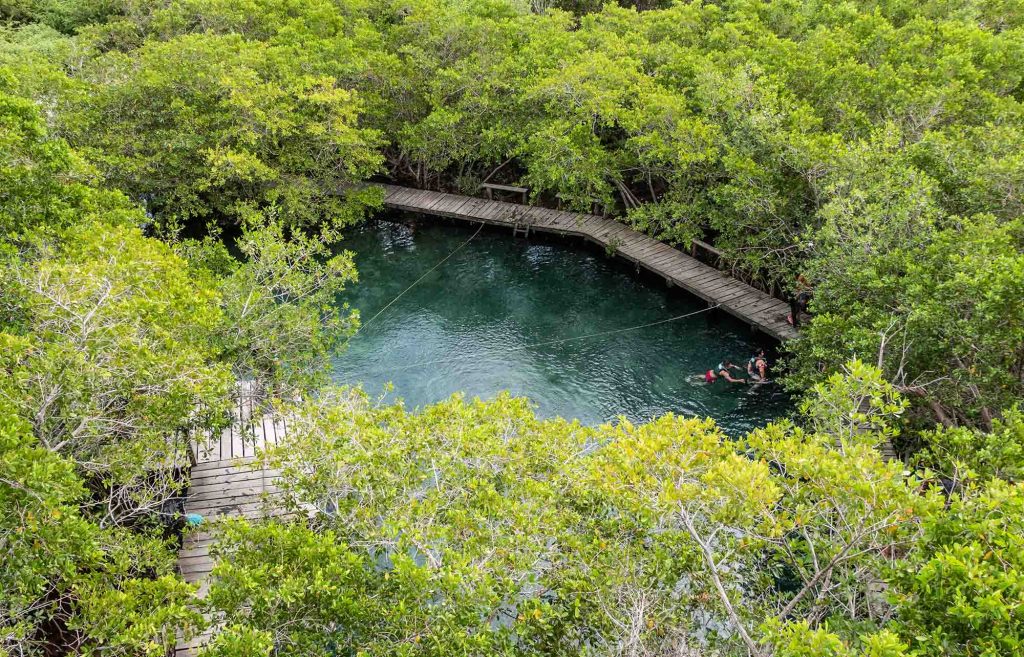 cenote yalahau holbox