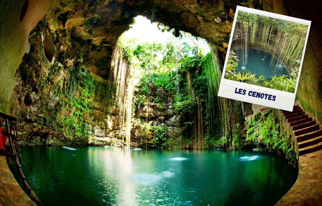 Les Cenotes au Mexique