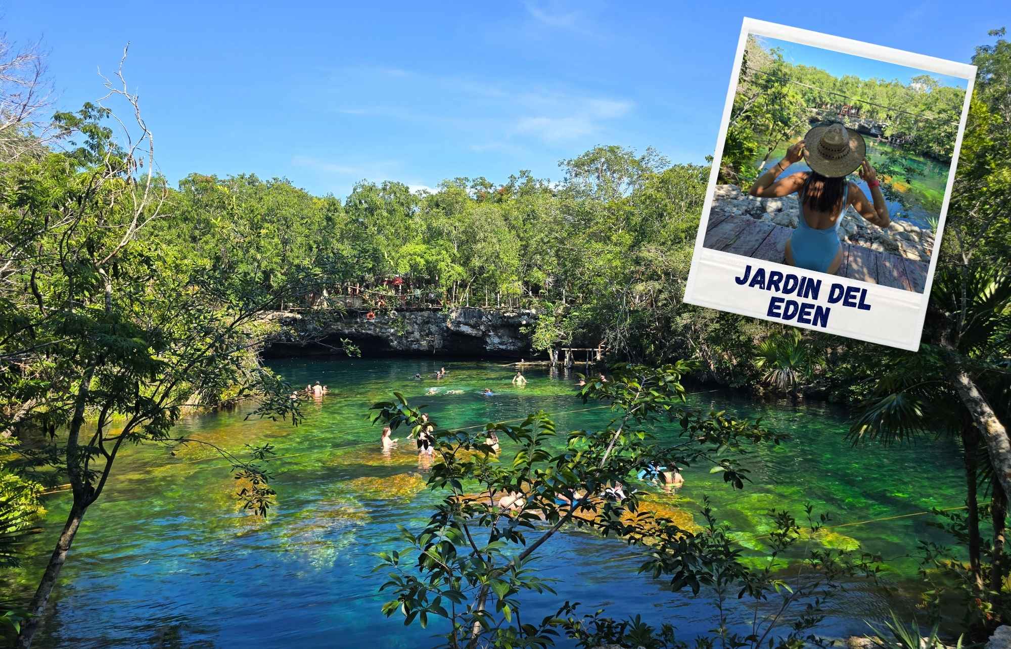 Les plus beaux Cenotes de Playa del Carmen : Cenote Jardin del Eden