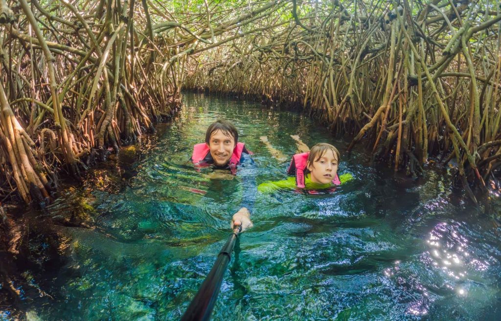 Visiter les Cenotes en famille