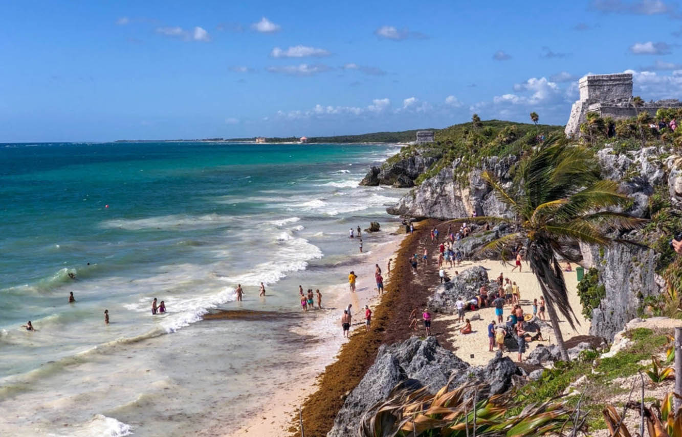 Algues sargasses au Mexique & au Yucatan en juin 2026 — free download
