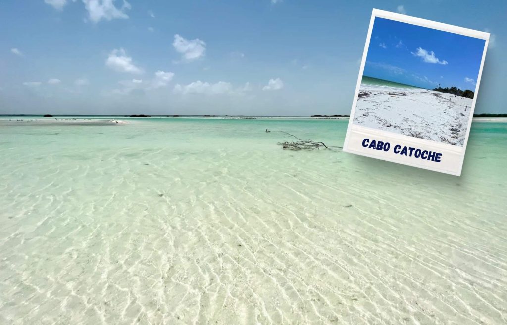 Que faire à Holbox ? Aller à Cabo Catoche