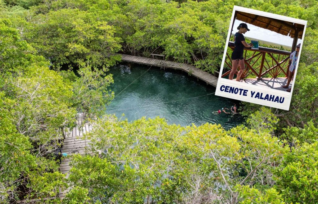 Que faire à Holbox ?Visiter le Cenote Yalahau