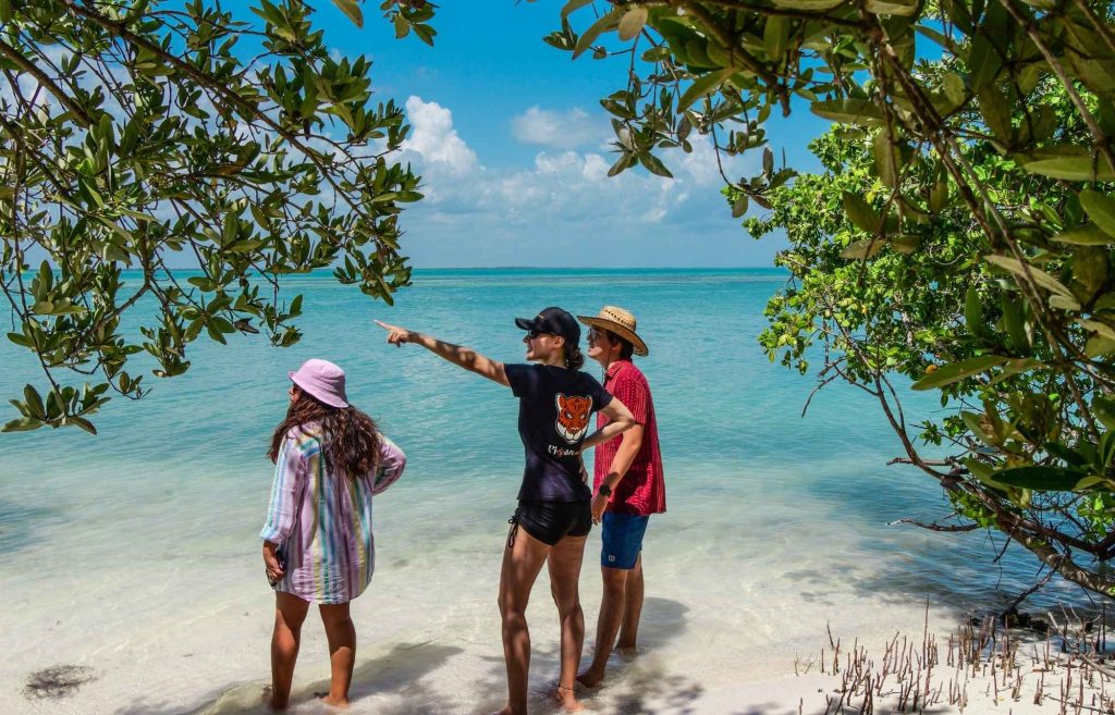 Guide de l'agence Pixan Riviera à Holbox