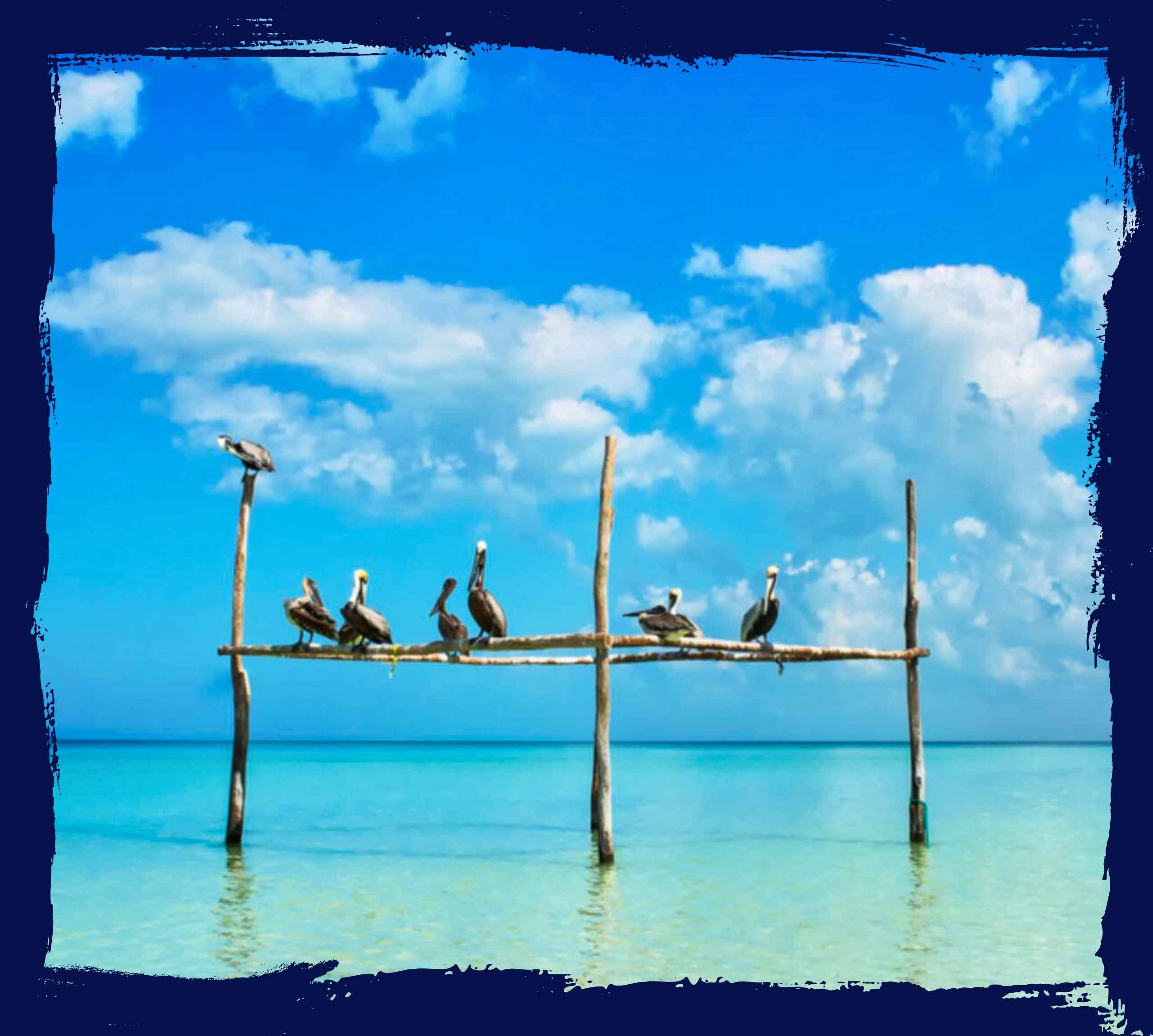 aller-holbox Holbox