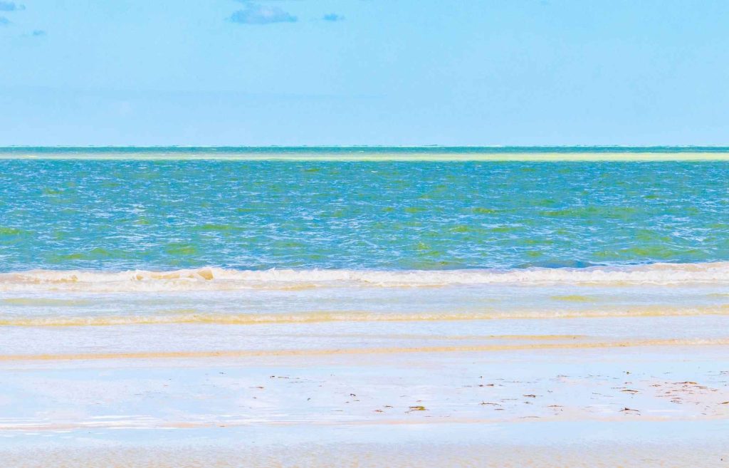 Mer Holbox