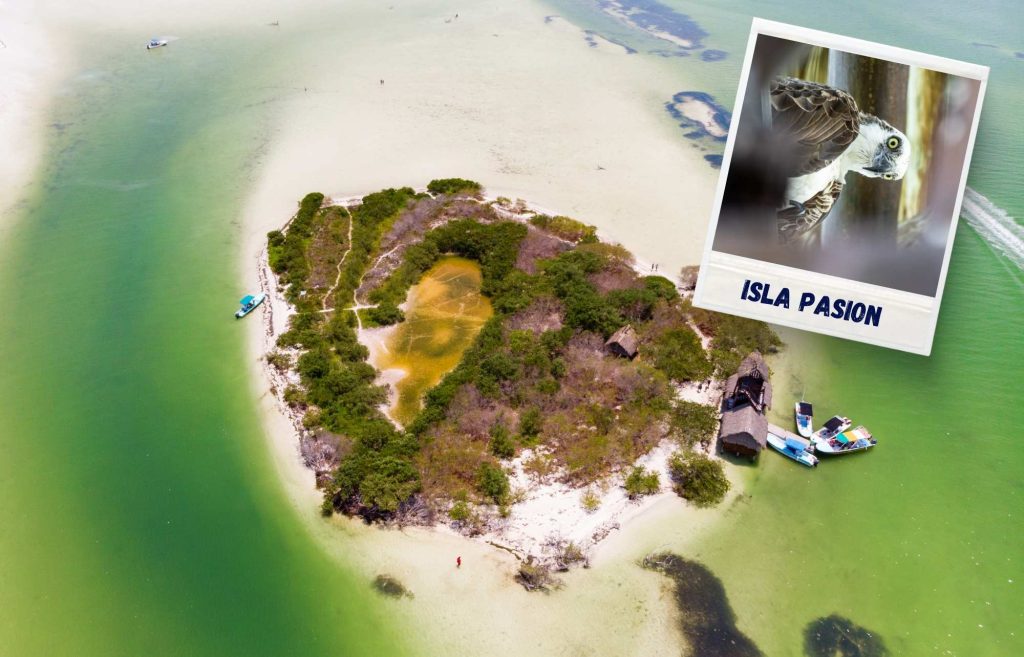 Isla Pasion Holbox