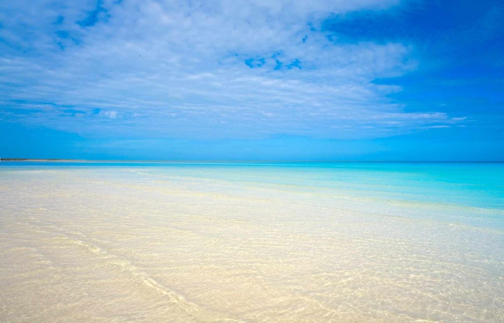 Mer Holbox