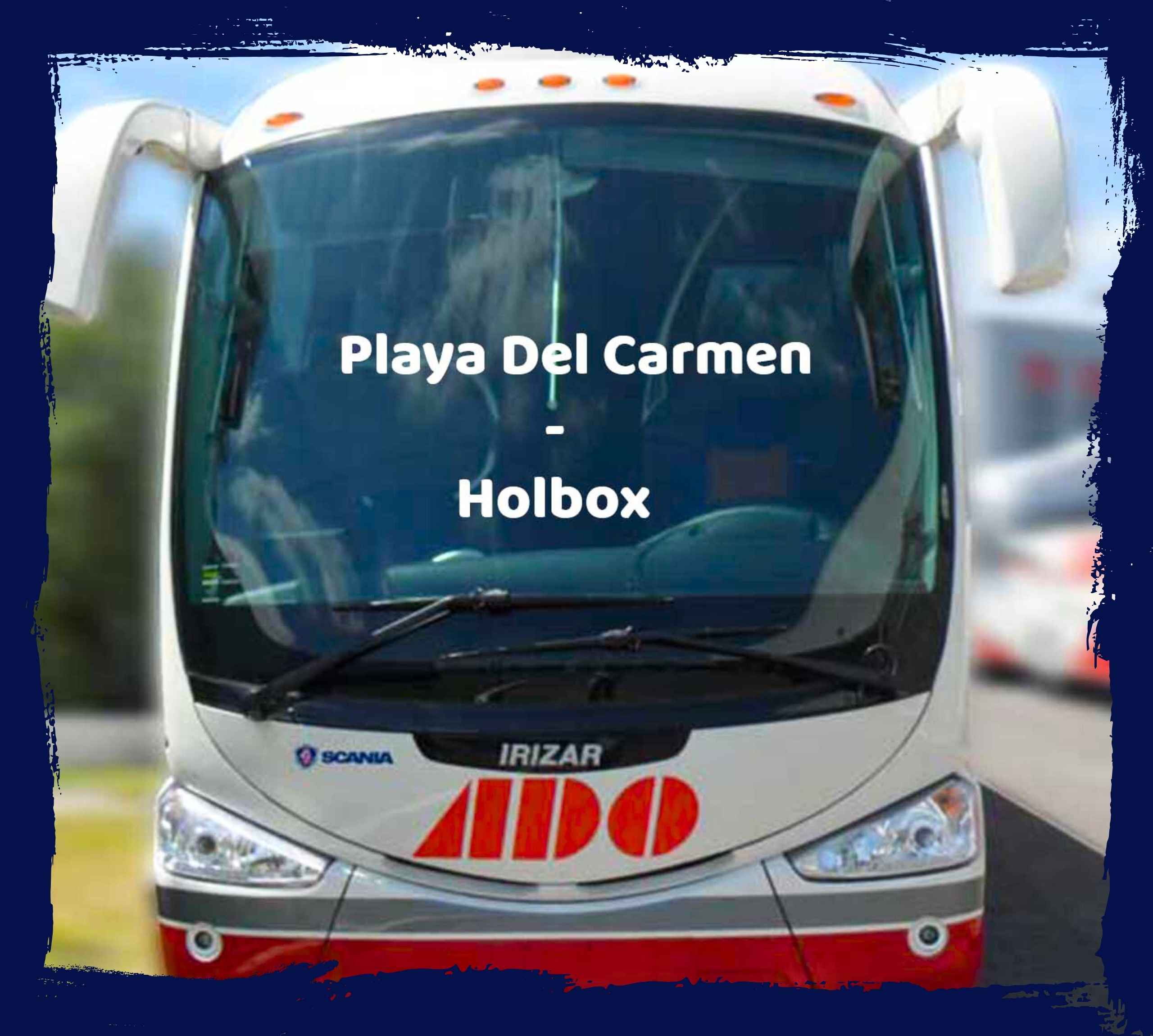 aller à Holbox de Playa Del Carmen