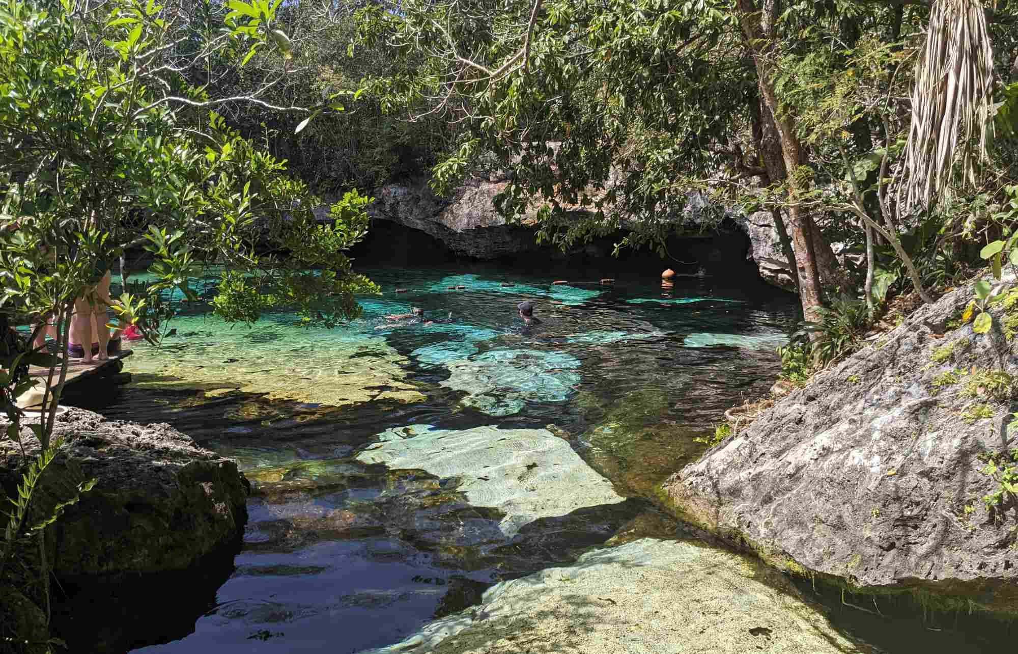 Le Cenote Azul à Playa del Carmen | Guide 2026