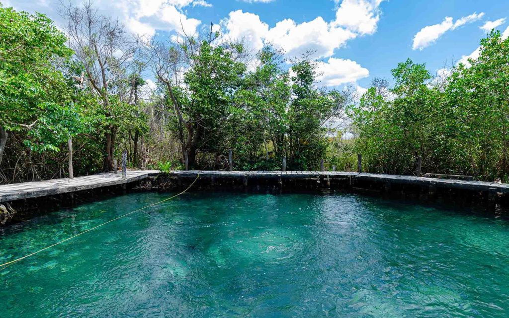 cenote yalahau à Holbox