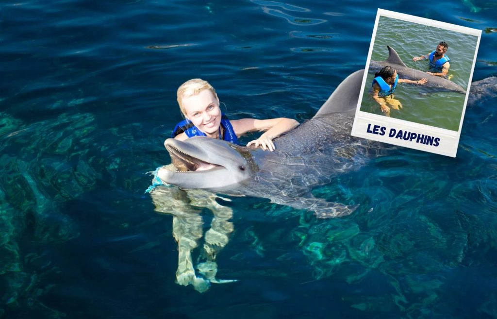 Nager avec les dauphins à Delphinus