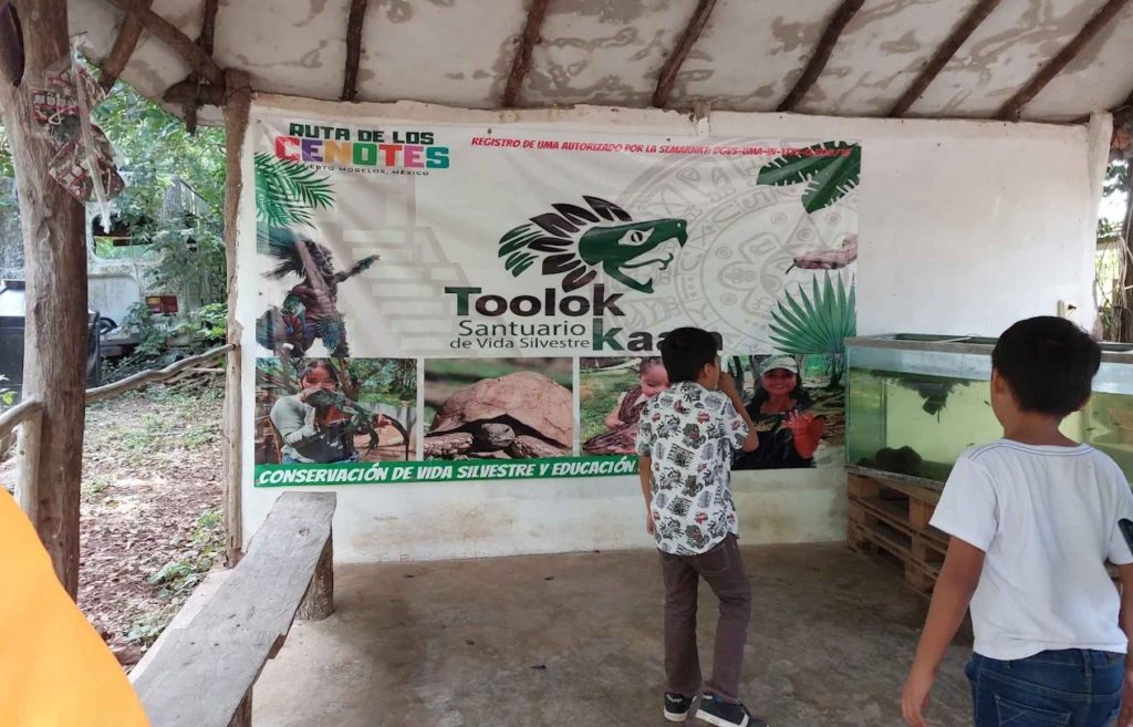 Toolok Kaan