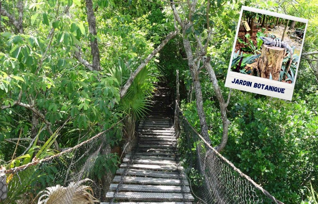 Jardin botanique Puerto Morelos