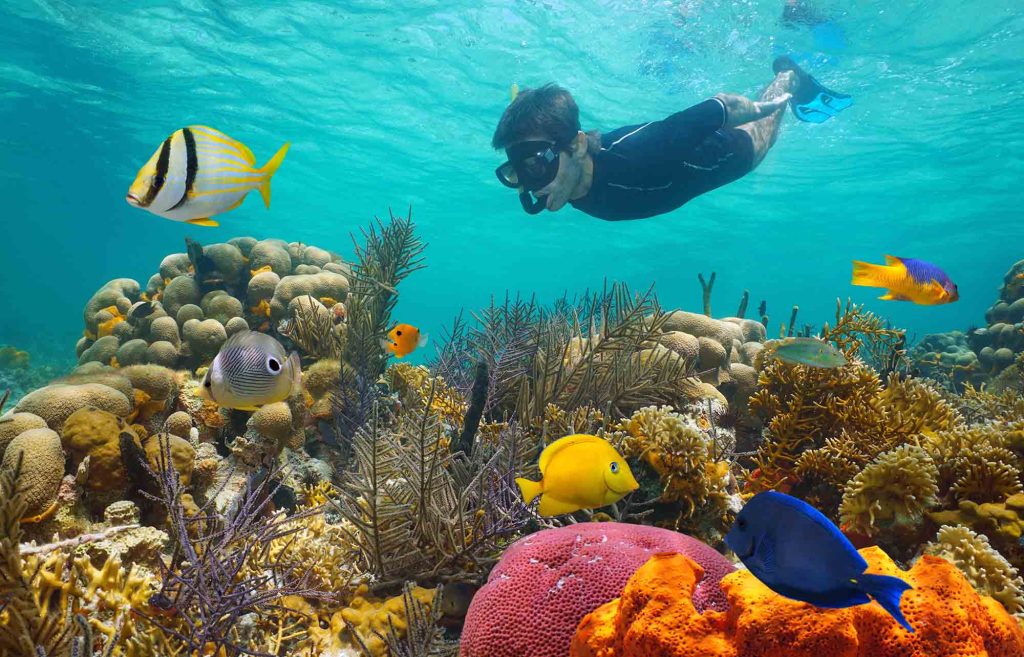 excursion à cozumel