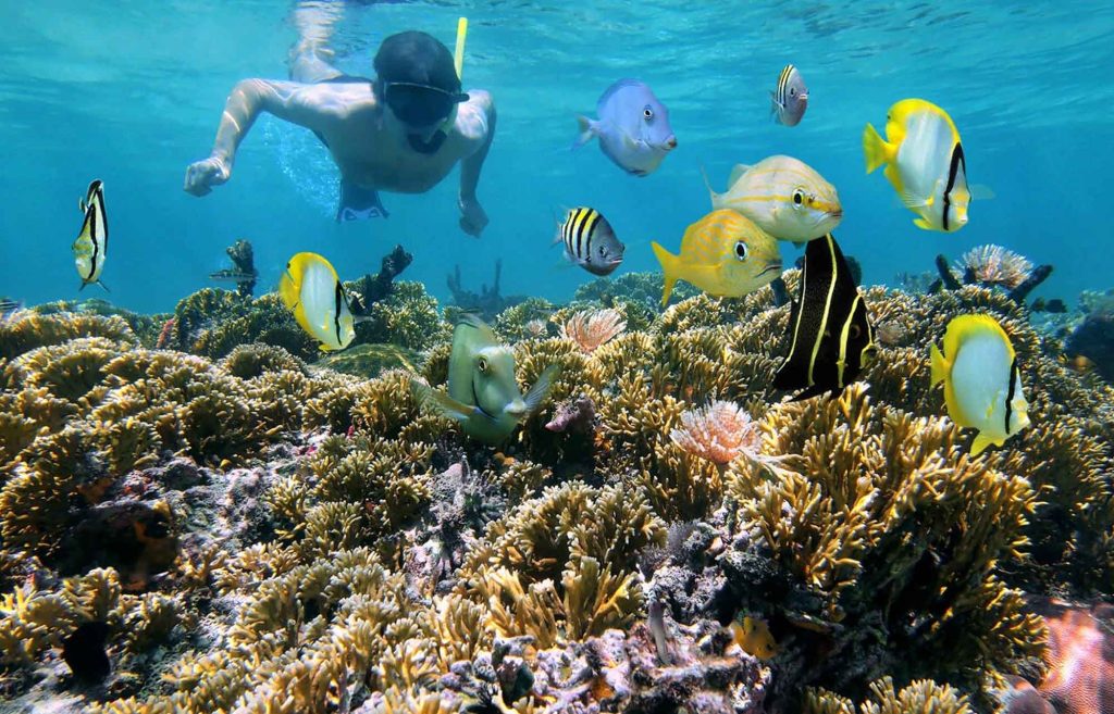 Excursion à Cozumel