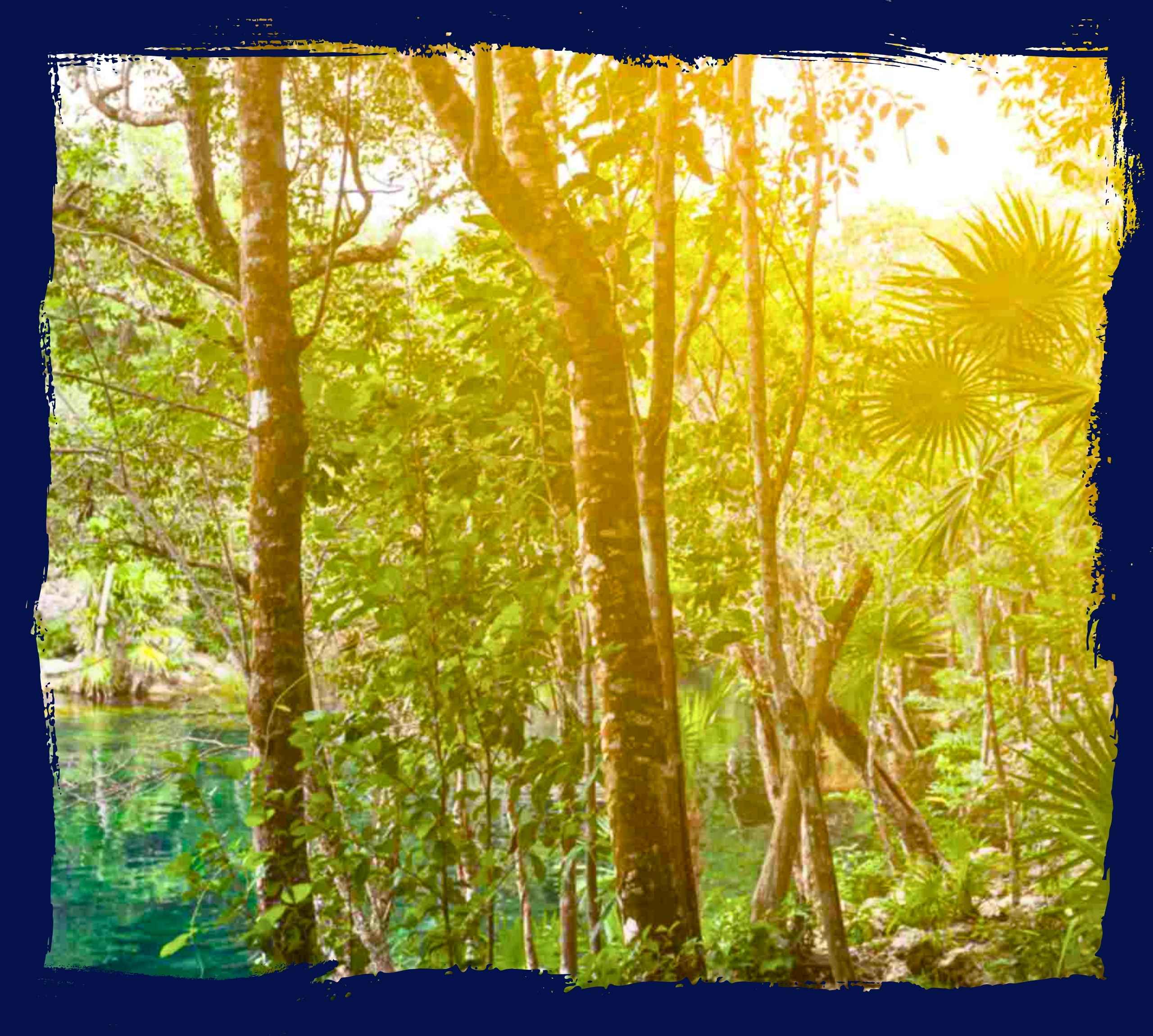 cenotes à Tulum