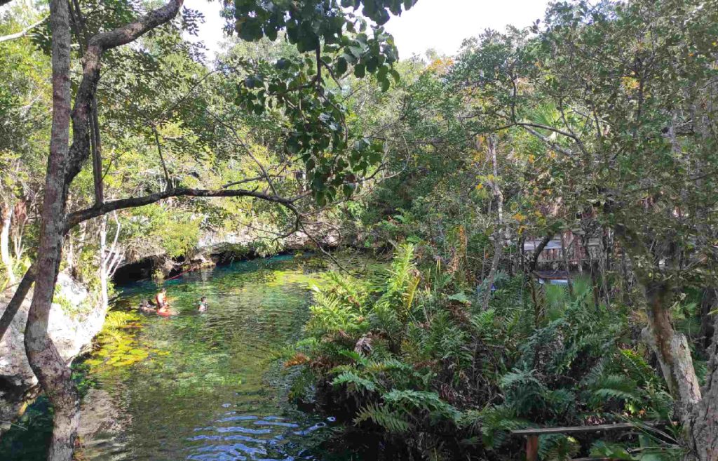 cenote Nicte-Ha