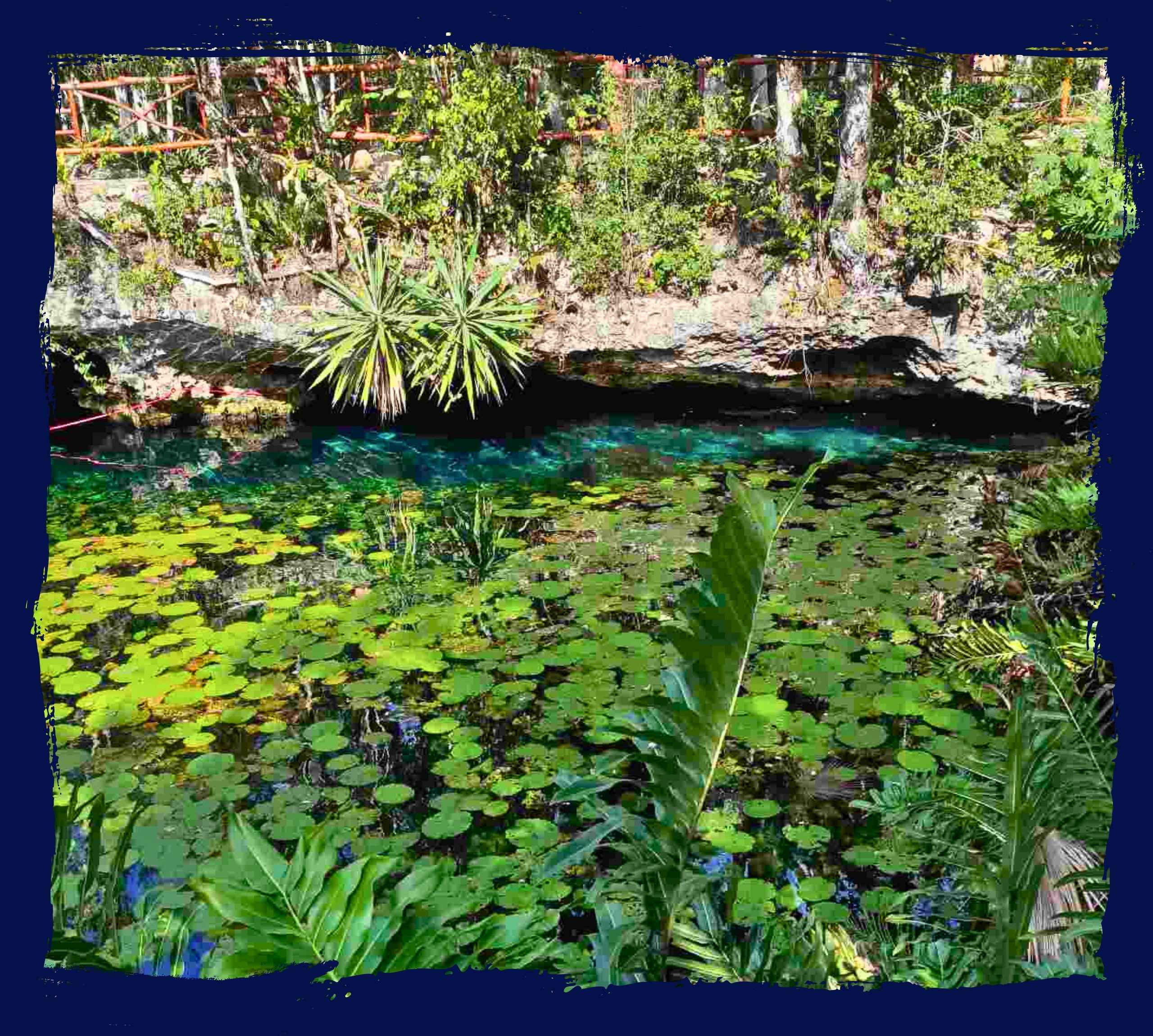 Cenote Nicte-Ha