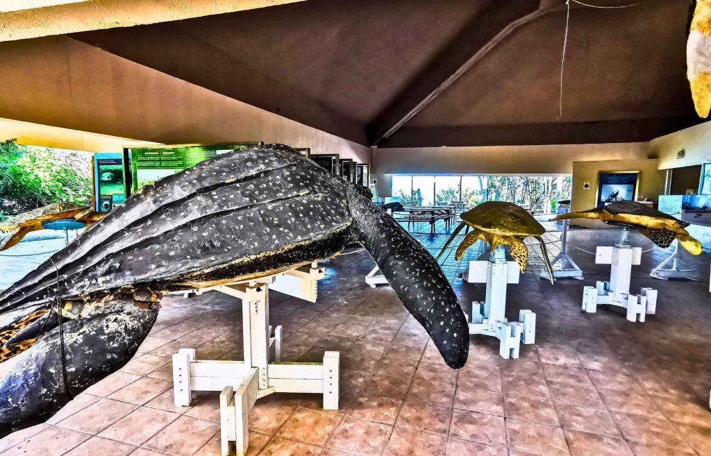 Le centre de conservation d'Isla Contoy