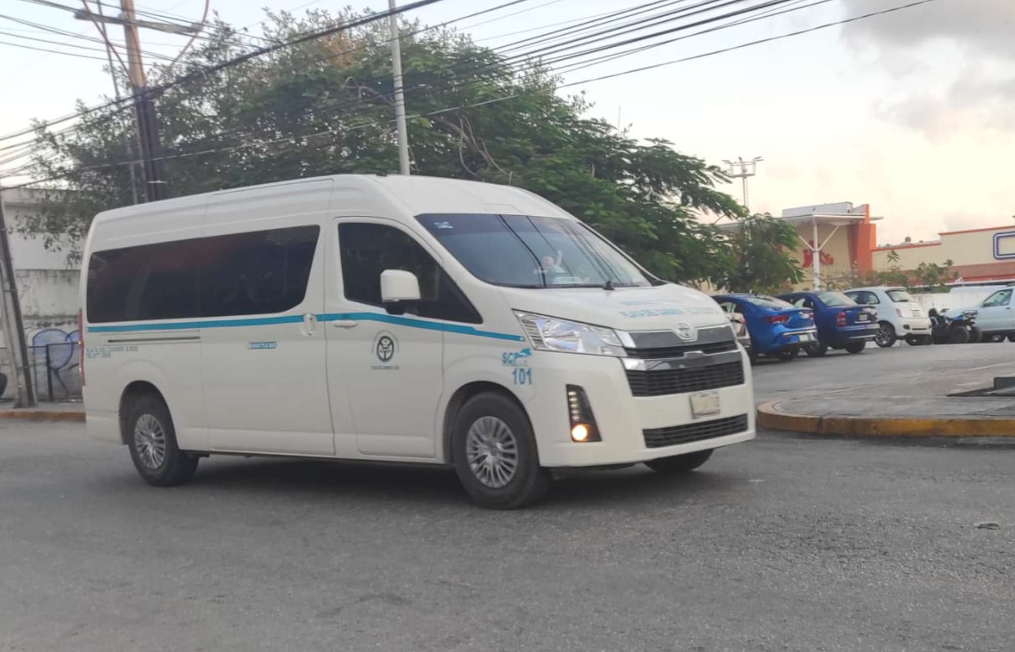 colectivo