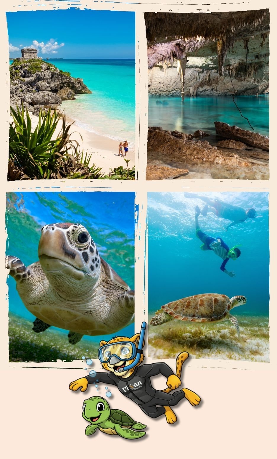 Excursion Tulum Tortues Cenote Excursion Tulum, Tortues & Cenote