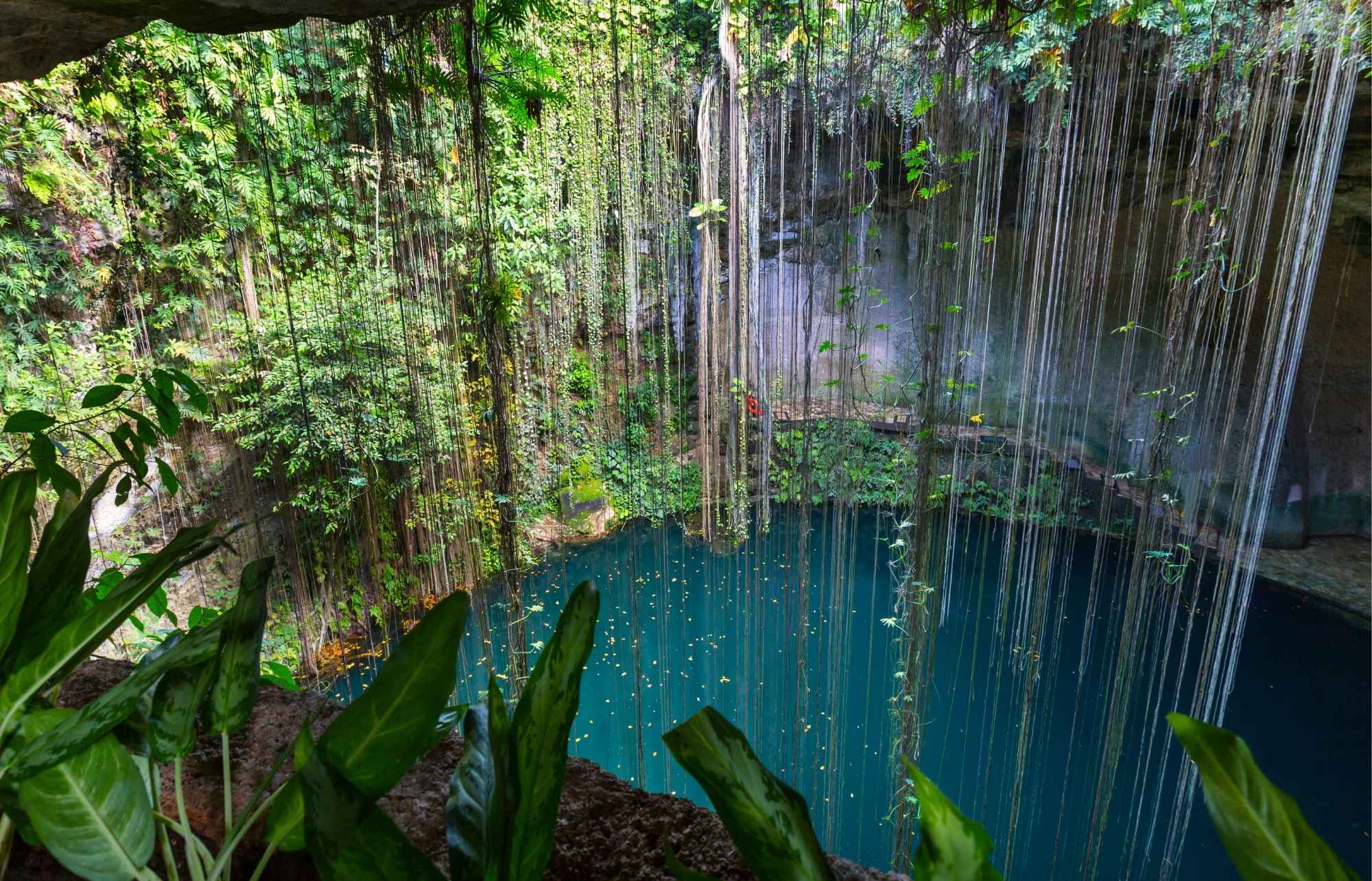 Les meilleures excursions de Cenotes à Playa del Carmen