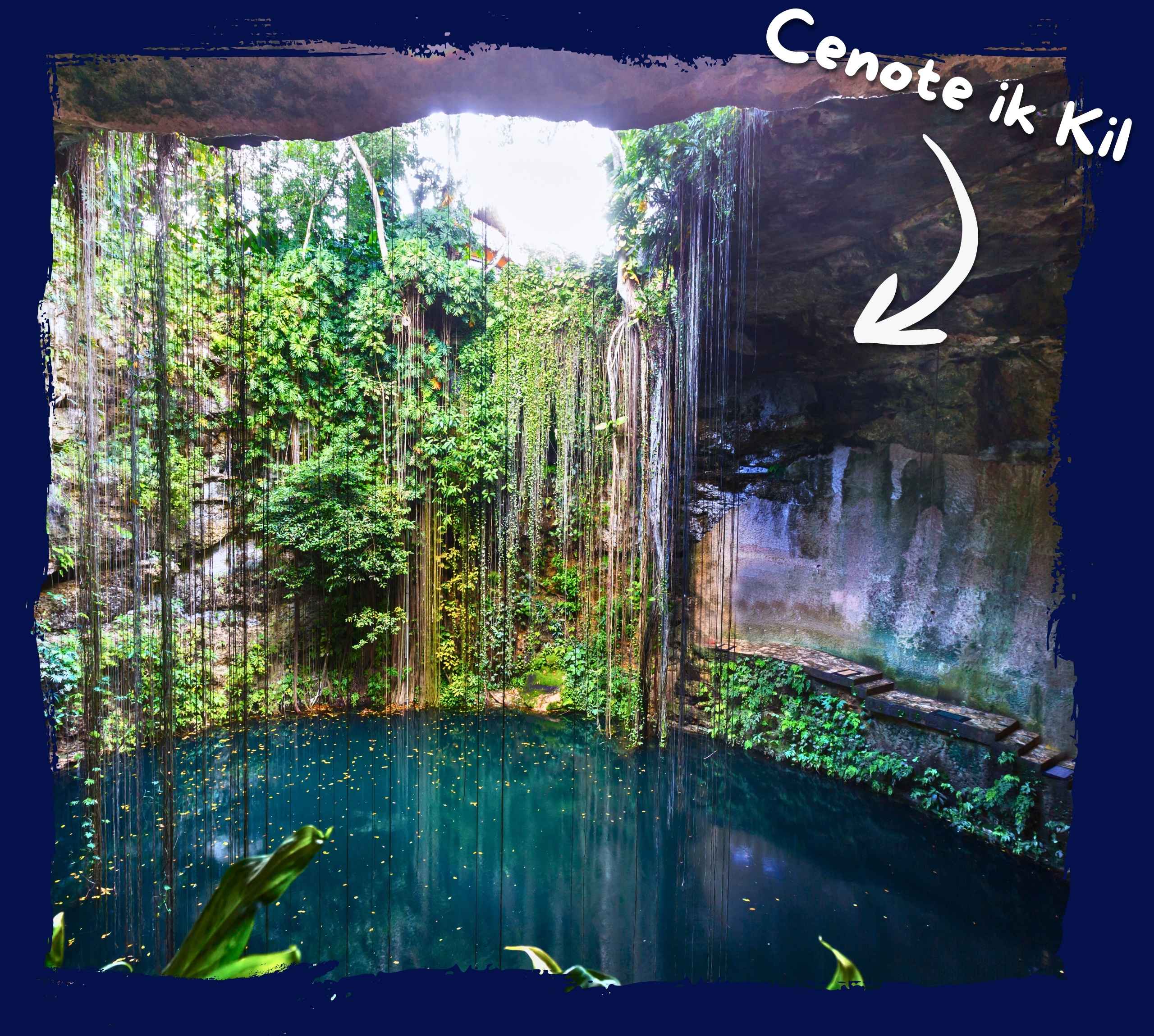 meilleures-excursions-cenote-playa-del-carmen