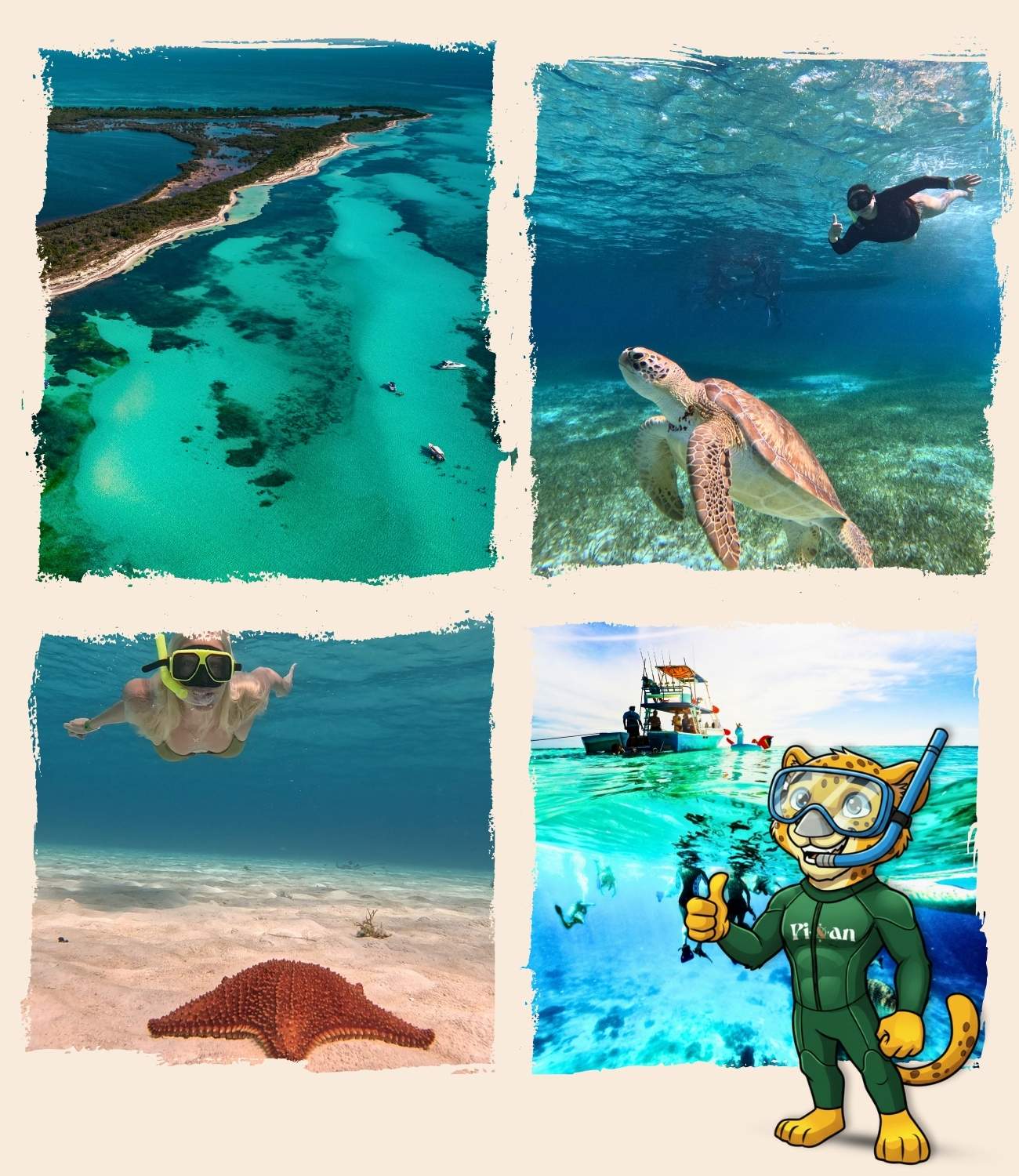 Cozumel (7) Ou nager avec les tortues à Playa del Carmen ? : Cozumel