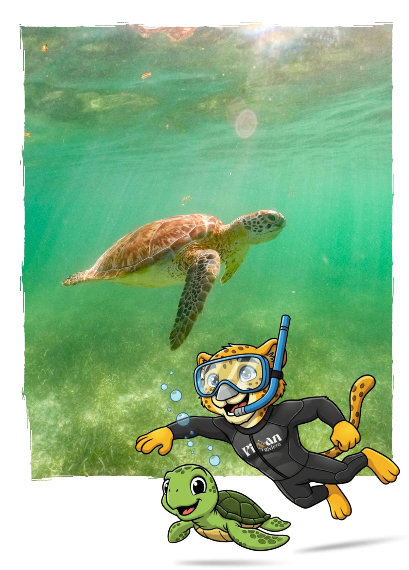 Excursion-Tulum-Tortues (2)