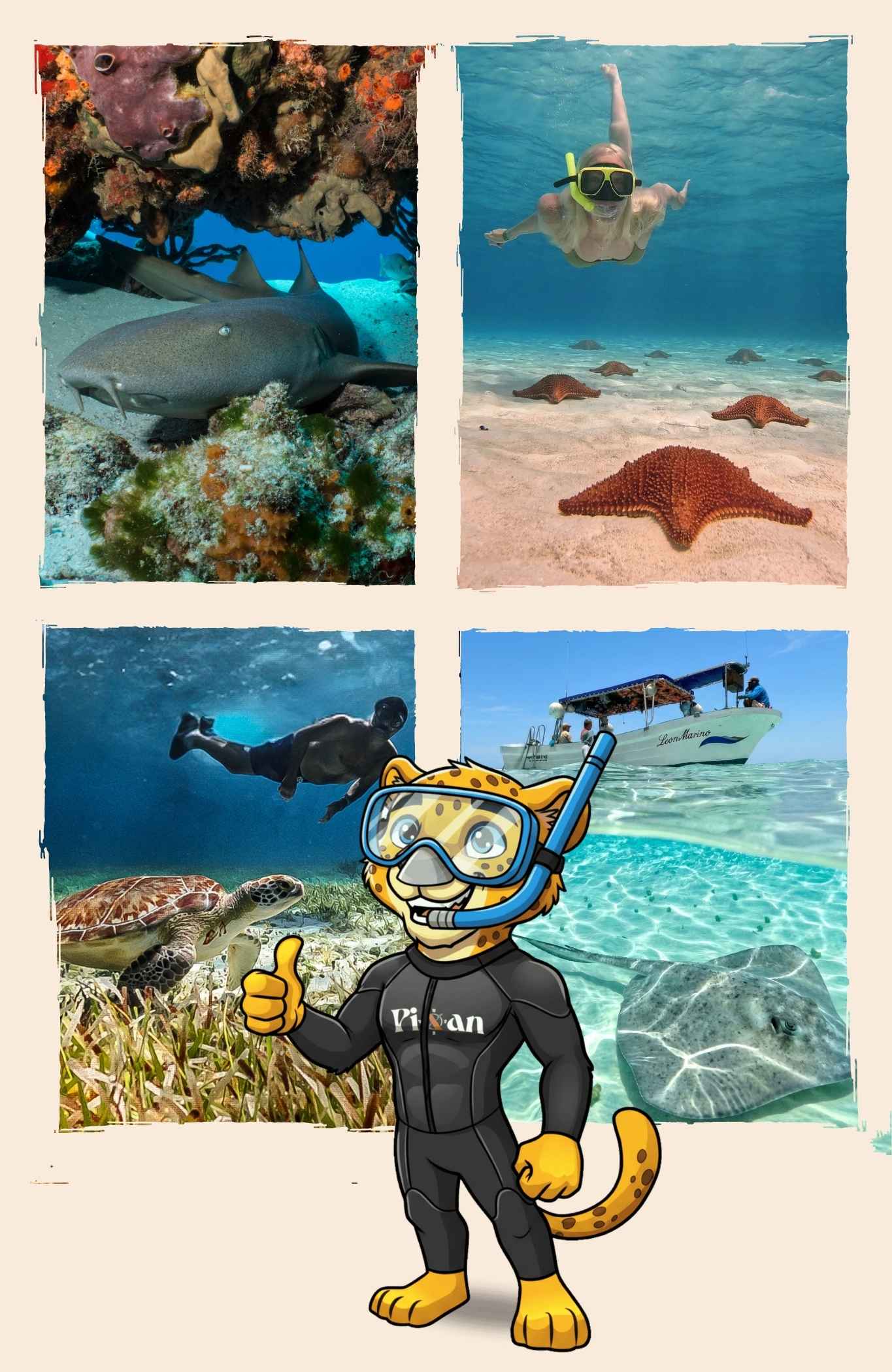Excursion-à-Cozumel