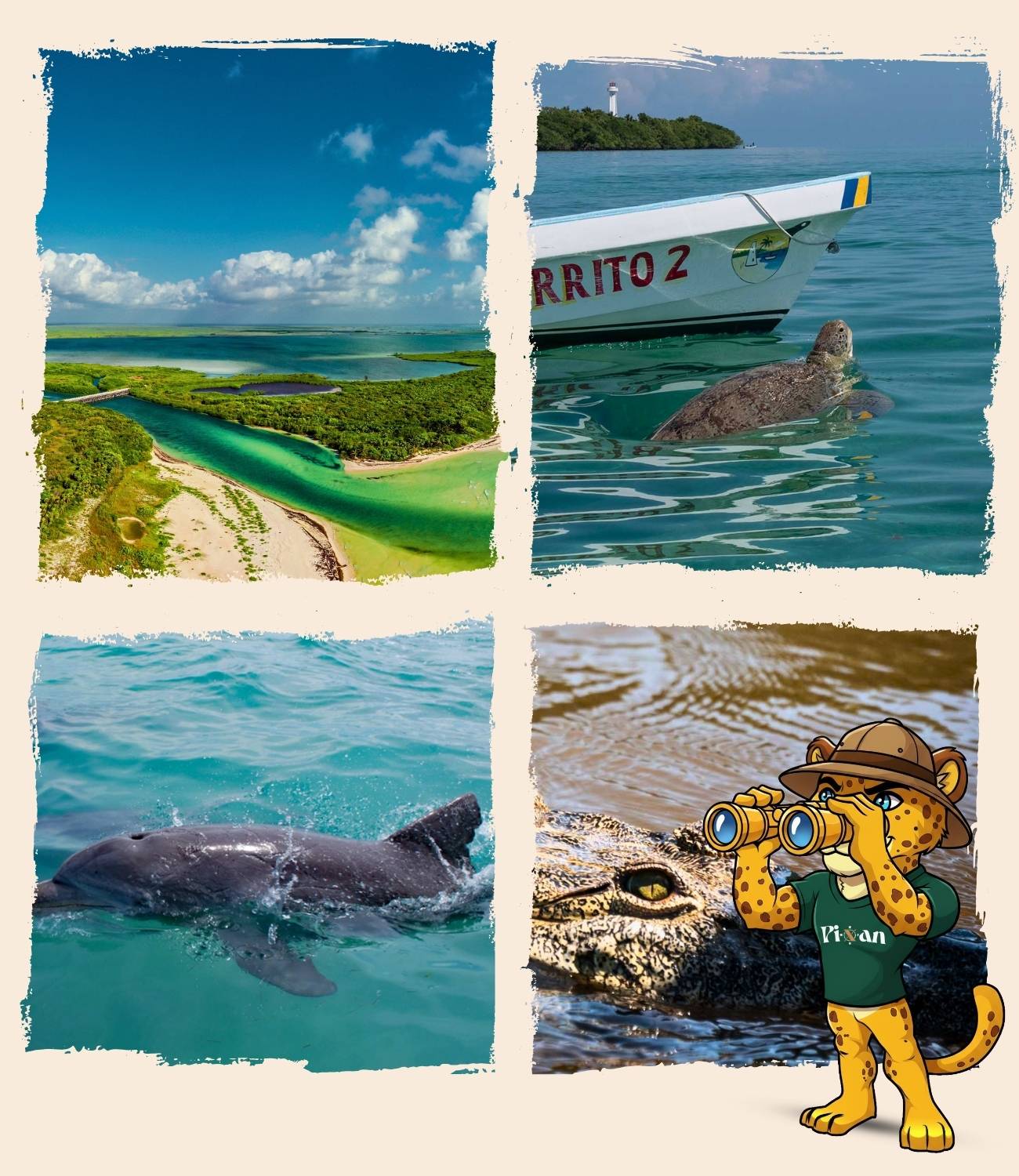 Sian Ka’an Ou nager avec les tortues à Playa del Carmen ? : Sian Ka'an
