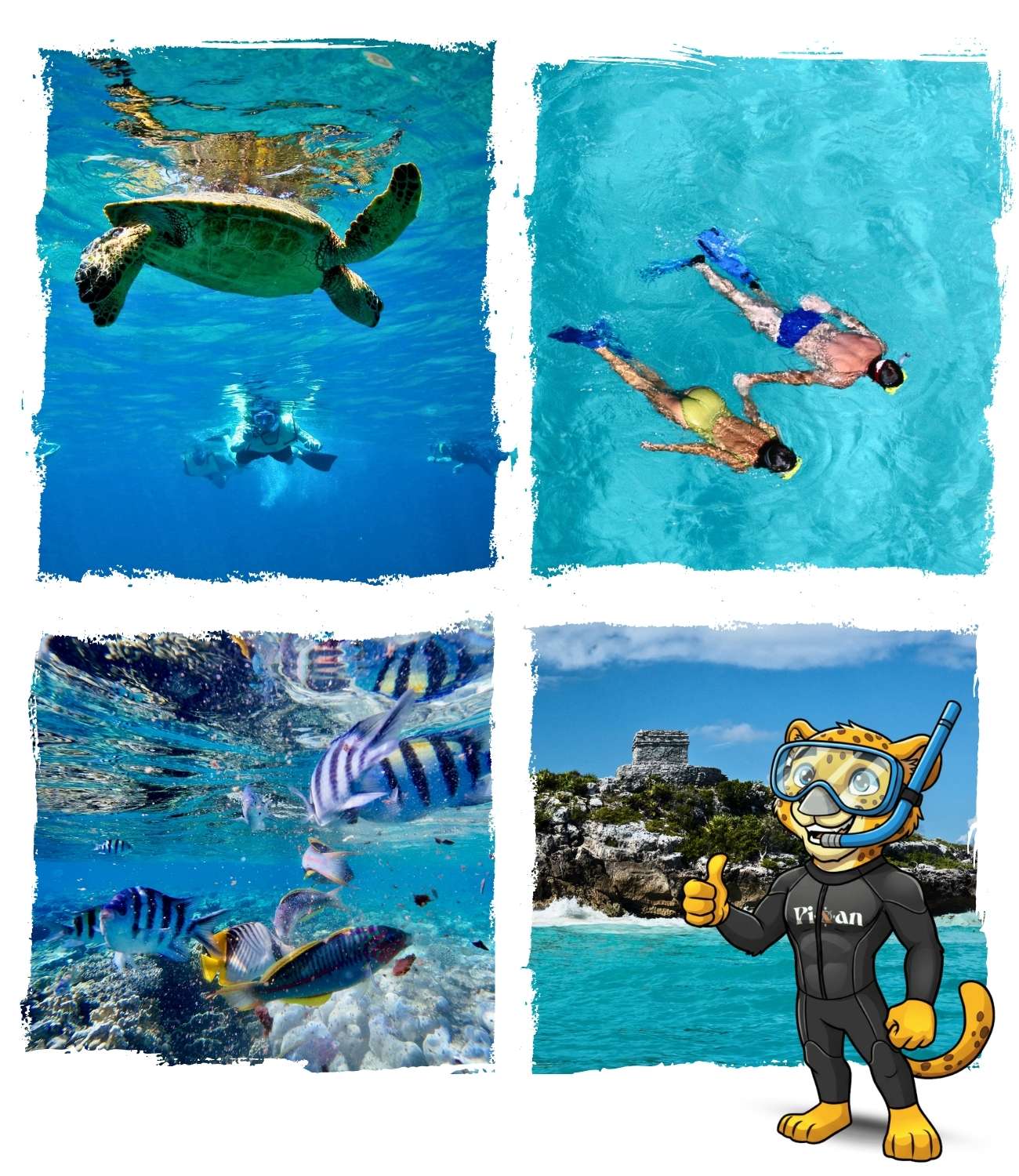 Snorkeling-tortues-Tulum