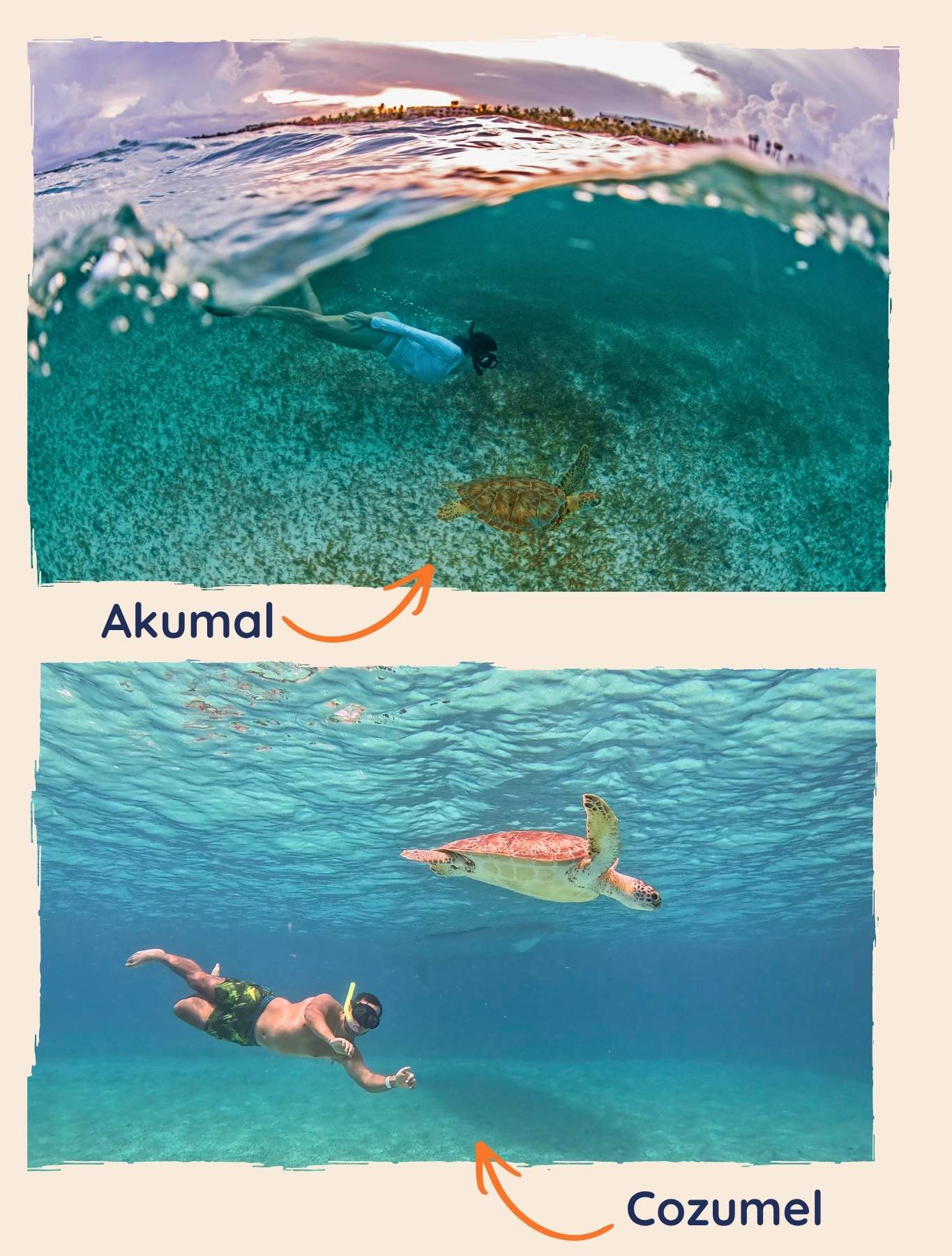 akumal vs Cozumel Akumal ou Cozumel ? Ou aller pour nager avec les tortues ?