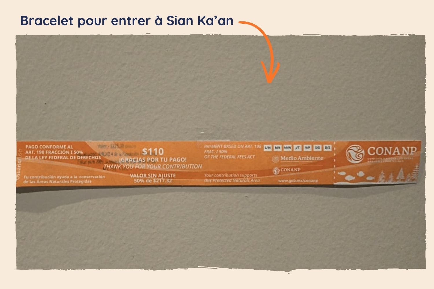 cout entrées sian ka’an Bracelet d'entrée à Sian Ka'an