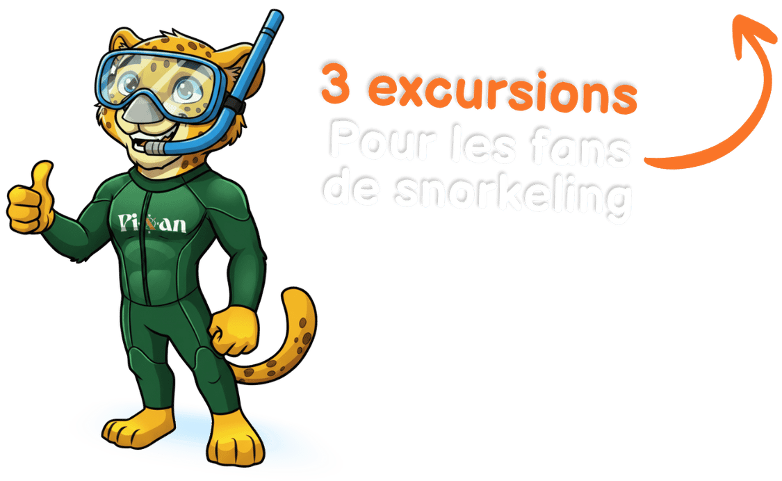 excursions-snorkeling-pixan-riviera