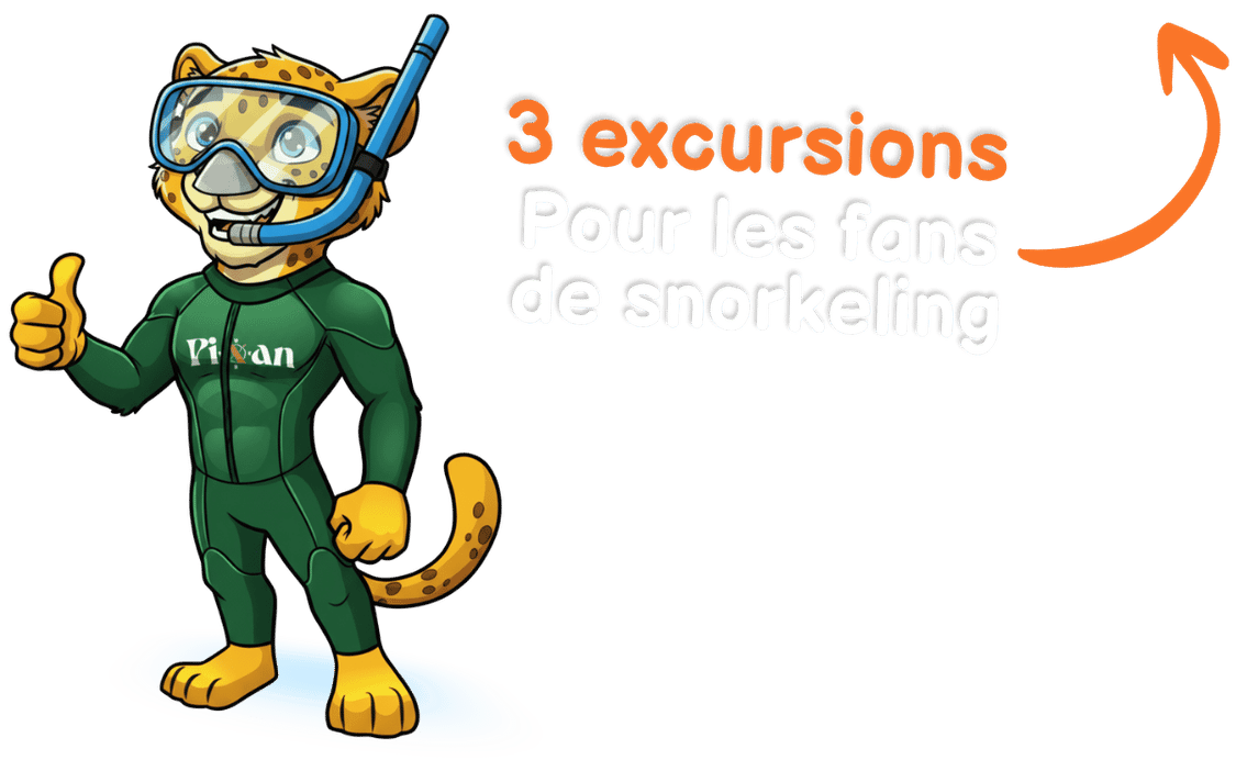 excursions-snorkeling-pixan-riviera 3 excursions pour les fans de snorkeling